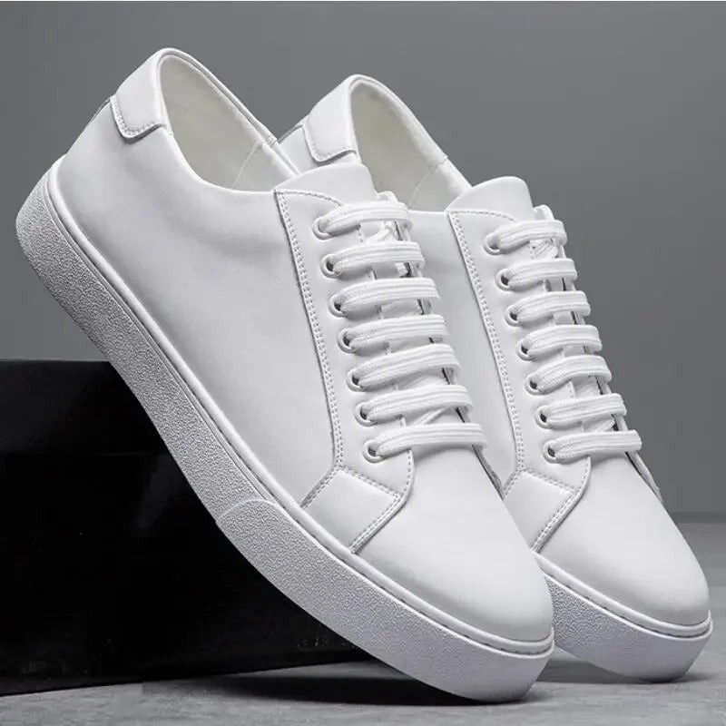 Francis  - Men's Leather Sneaker