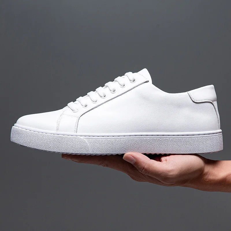 Francis  - Men's Leather Sneaker